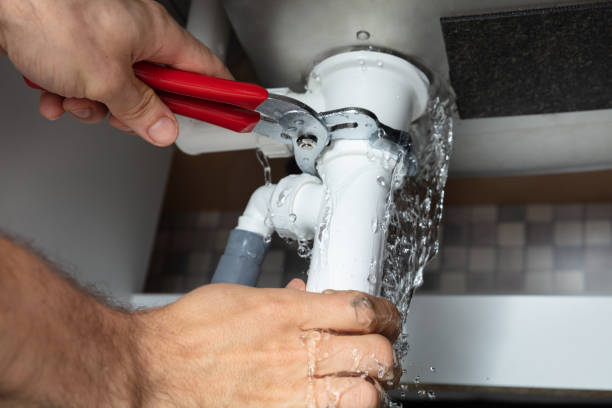 Best Professional water damage repair  in Sa Loma, CA