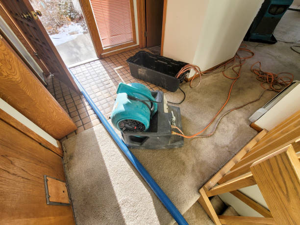 Best Commercial water damage restoration  in Sa Loma, CA