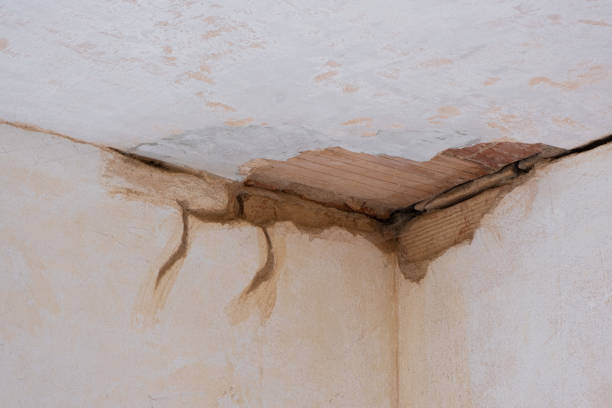 Best Water damage restoration cost  in Sa Loma, CA