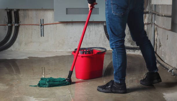 Best Basement water damage restoration  in Sa Loma, CA