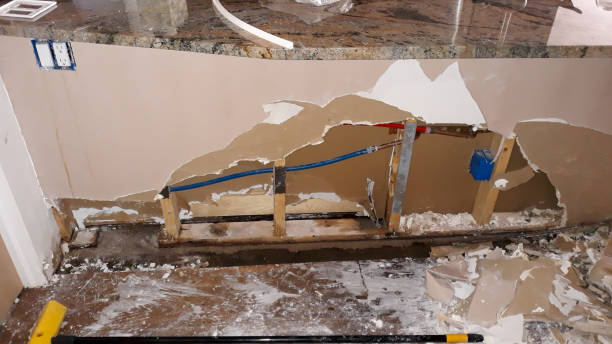 Sa Loma, CA Water damage restoration Pros