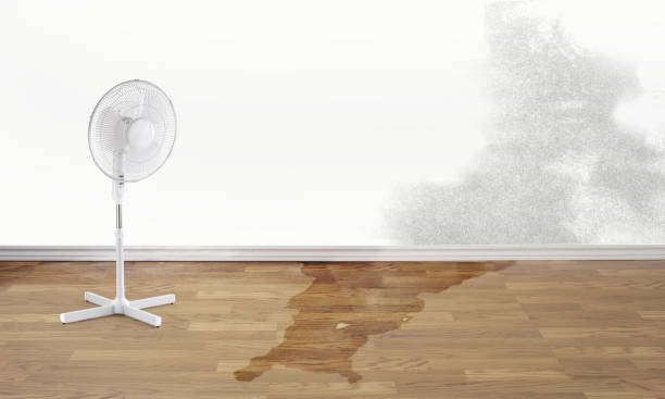 Best Water damage restoration near me  in Sa Loma, CA