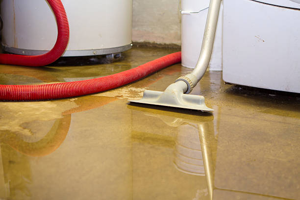 Best Flood damage cleanup  in Sa Loma, CA