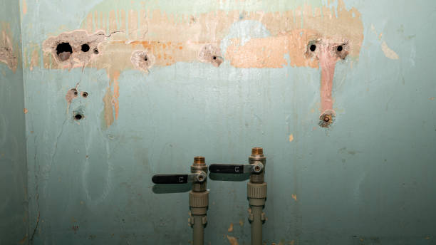 Best 24/7 water damage repair  in Sa Loma, CA