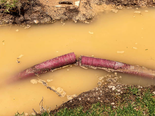 Best Mold removal after water damage  in Sa Loma, CA